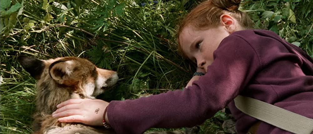 きつねと私の12か月の画像