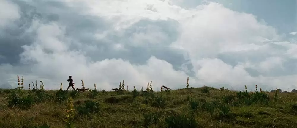 きつねと私の12か月の画像