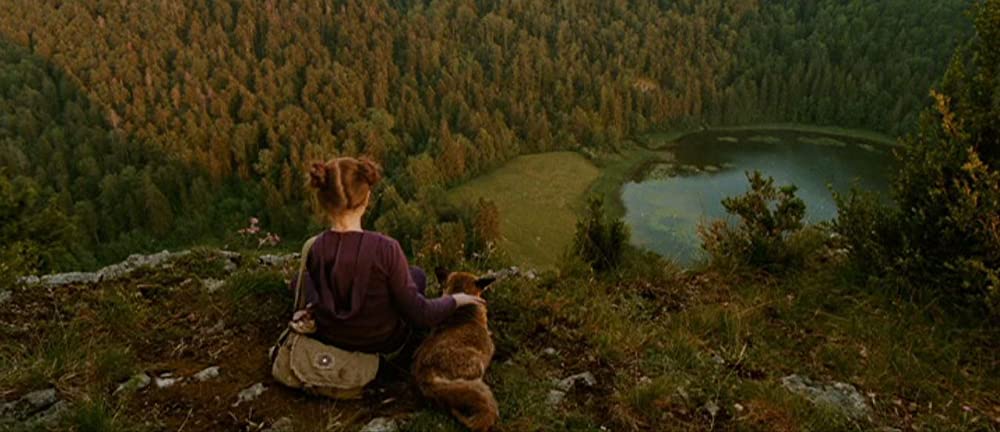 きつねと私の12か月の画像