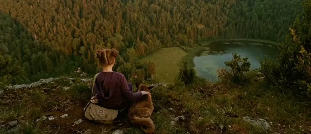 きつねと私の12か月の画像