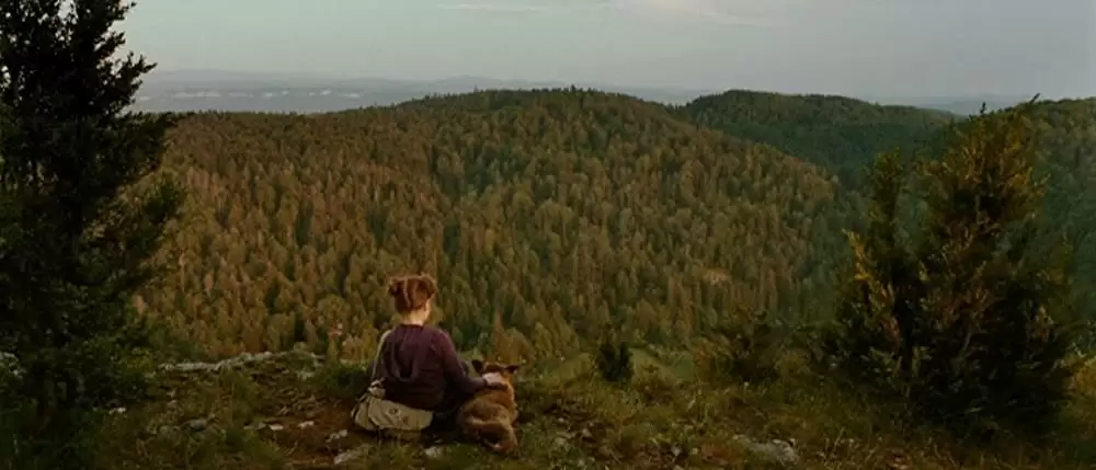 きつねと私の12か月の画像