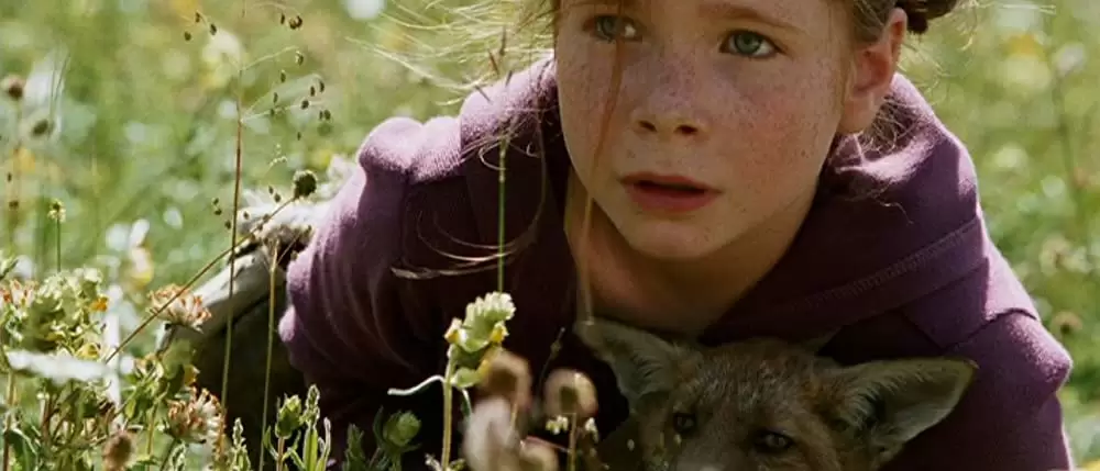 きつねと私の12か月の画像