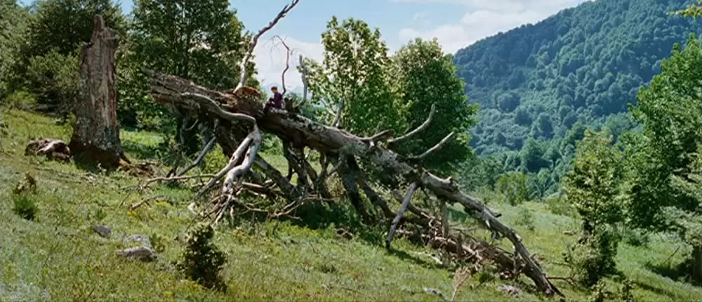 きつねと私の12か月の画像