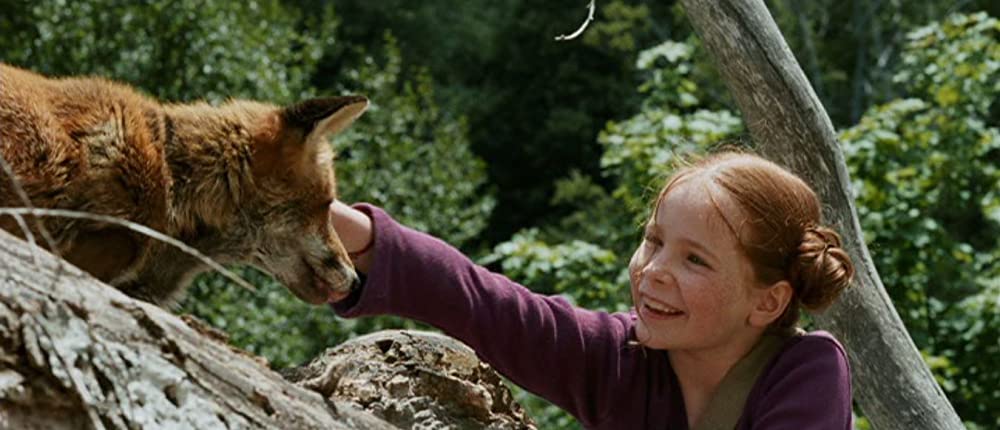 きつねと私の12か月の画像