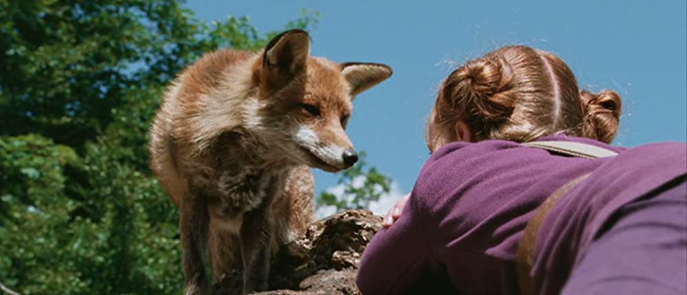 きつねと私の12か月の画像