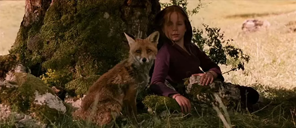 きつねと私の12か月の画像