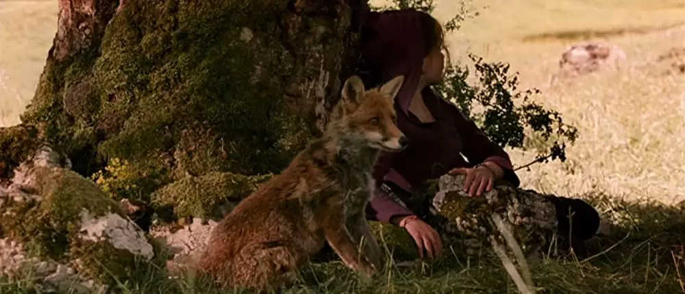 きつねと私の12か月の画像