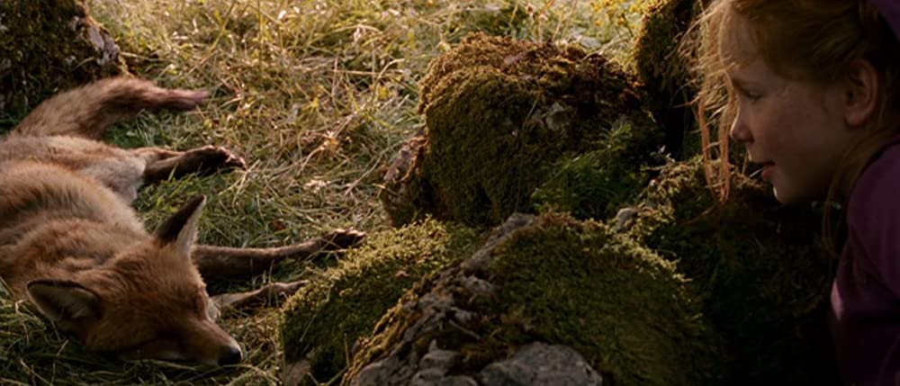 きつねと私の12か月の画像