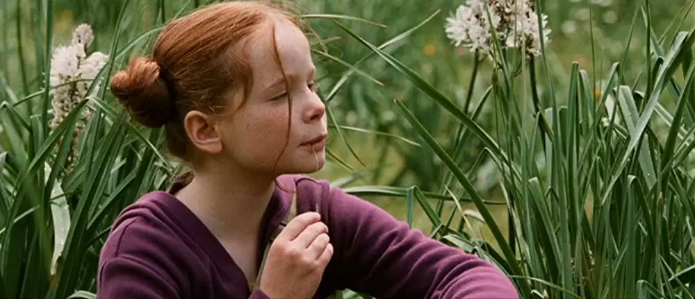 きつねと私の12か月の画像