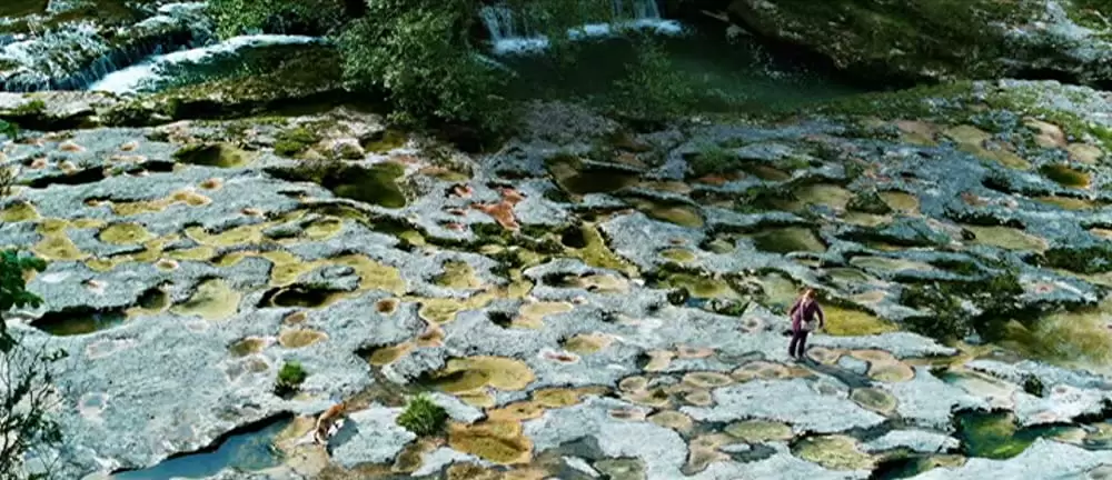 きつねと私の12か月の画像