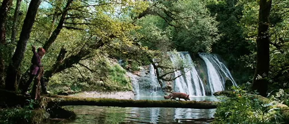 きつねと私の12か月の画像