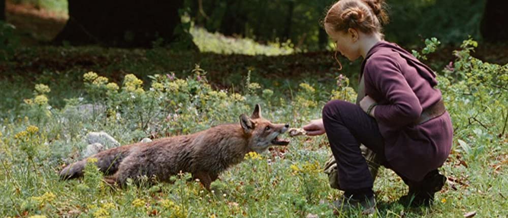 きつねと私の12か月の画像