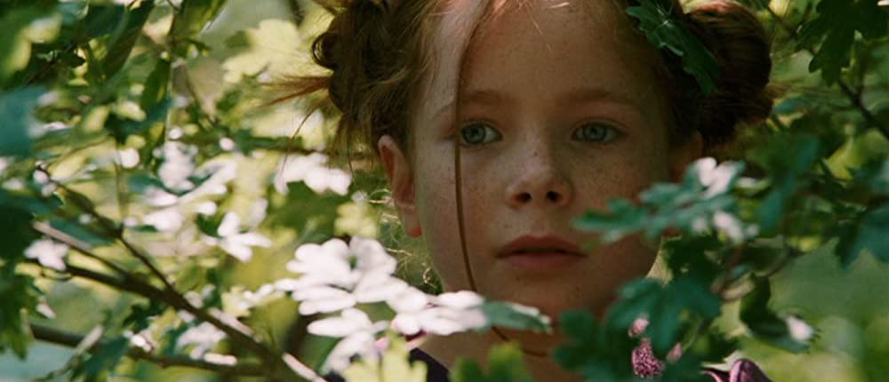 きつねと私の12か月の画像