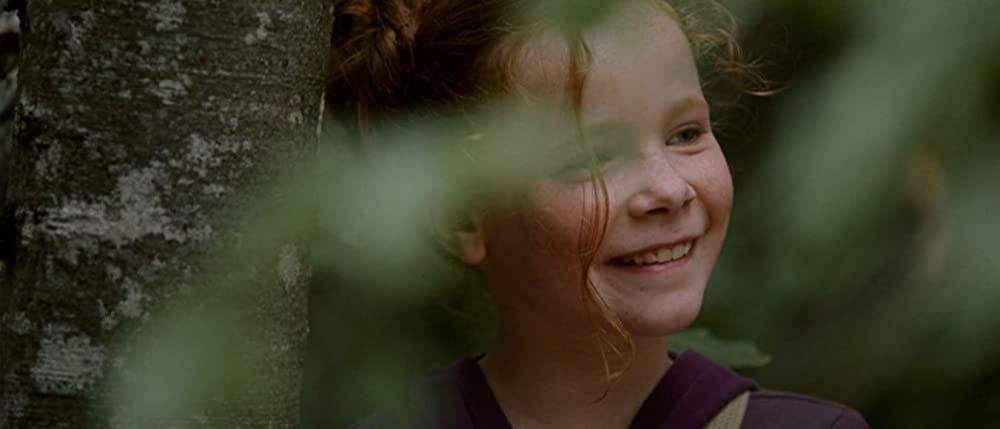 きつねと私の12か月の画像