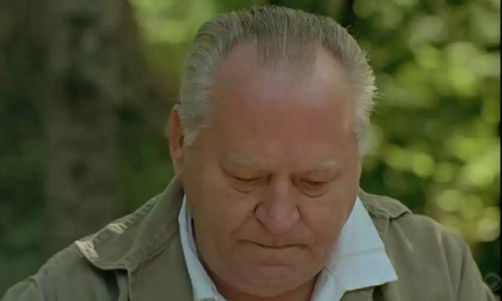 スウェーディッシュ・ラブ・ストーリーの画像