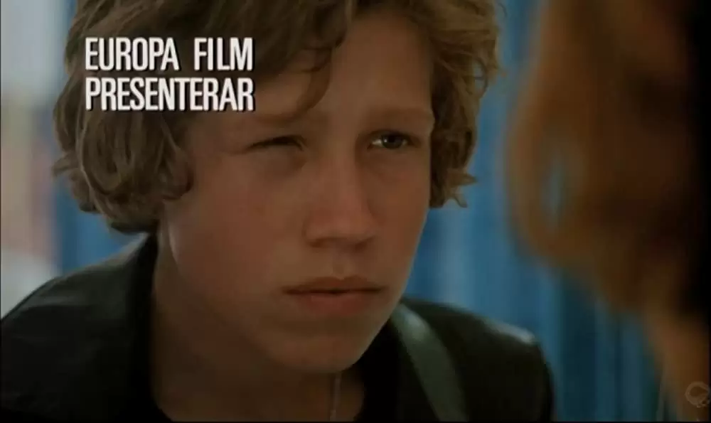 スウェーディッシュ・ラブ・ストーリーの画像