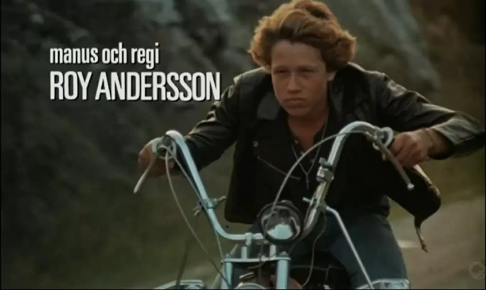 スウェーディッシュ・ラブ・ストーリーの画像