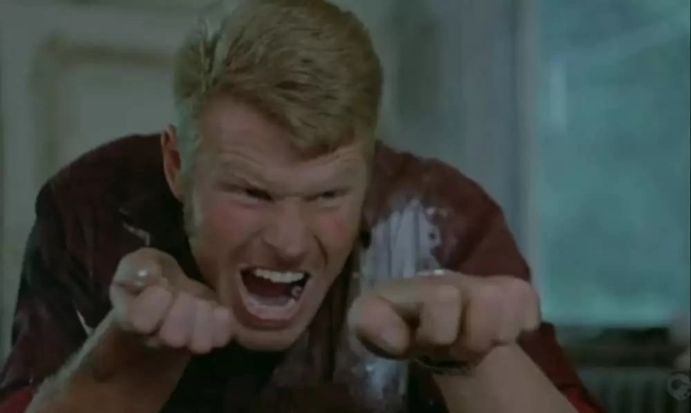 スウェーディッシュ・ラブ・ストーリーの画像