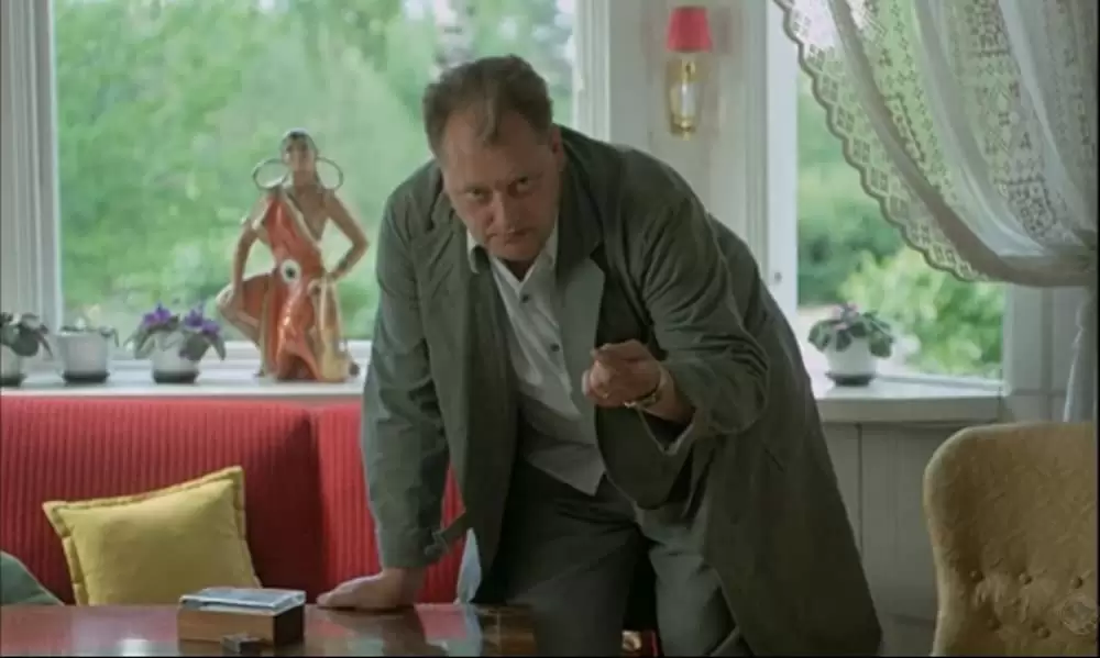 スウェーディッシュ・ラブ・ストーリーの画像