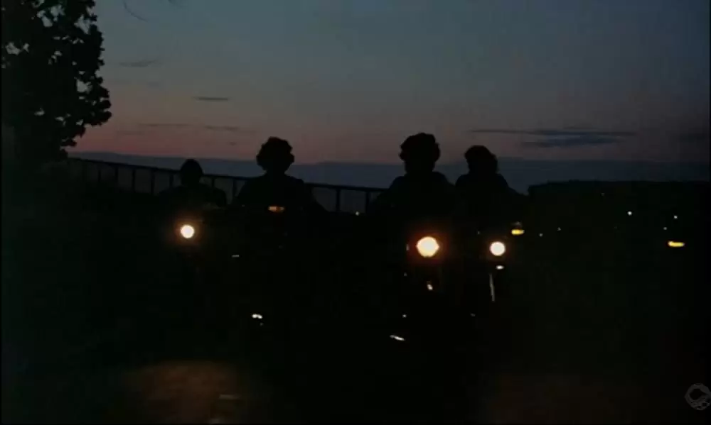 スウェーディッシュ・ラブ・ストーリーの画像