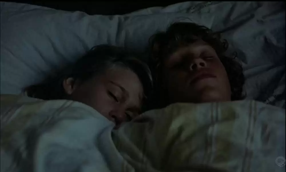 スウェーディッシュ・ラブ・ストーリーの画像