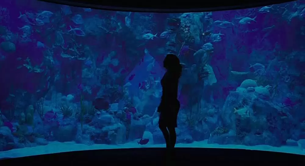 ボーダータウン 報道されない殺人者の画像