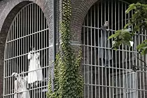 愛の勝利を ムッソリーニを愛した女の画像