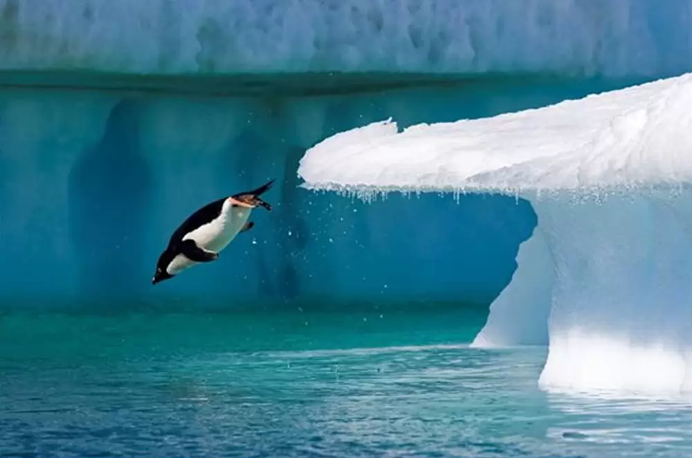 オーシャンズの画像