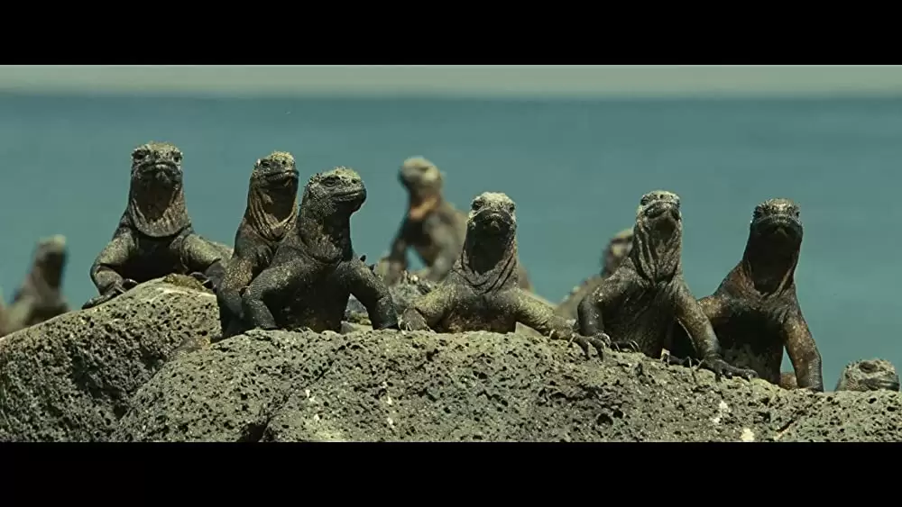 オーシャンズの画像