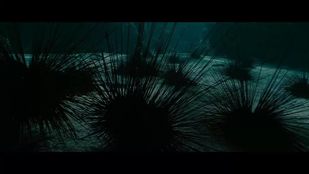 オーシャンズの画像