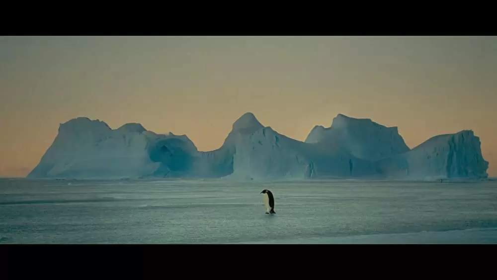 オーシャンズの画像