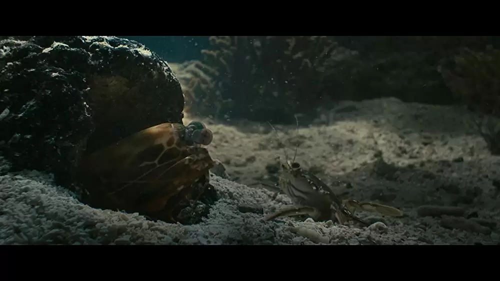 オーシャンズの画像