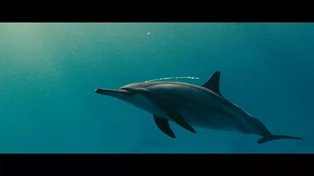 オーシャンズの画像