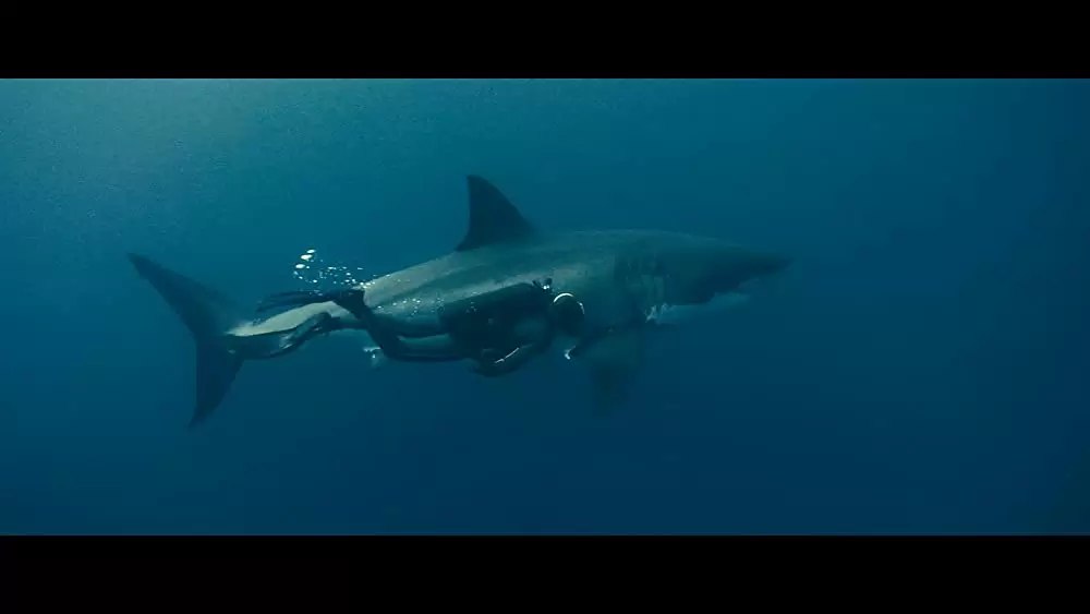 オーシャンズの画像