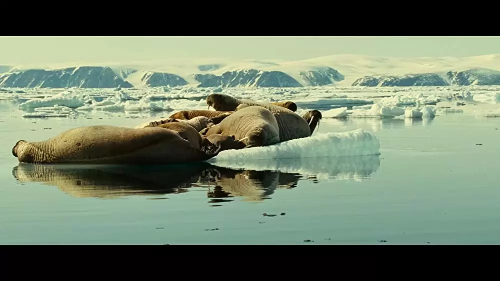 オーシャンズの画像