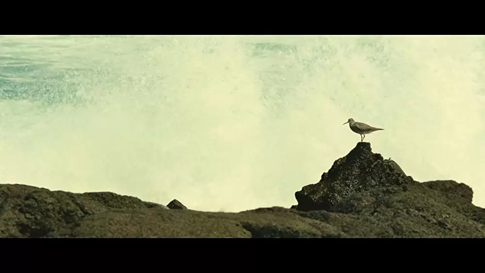 オーシャンズの画像