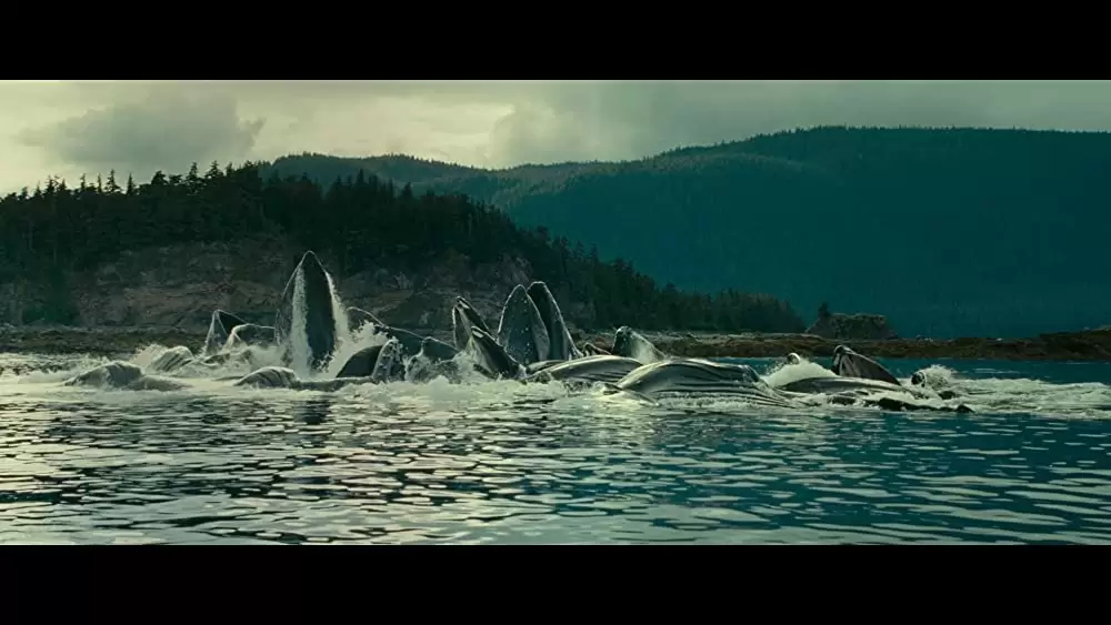 オーシャンズの画像