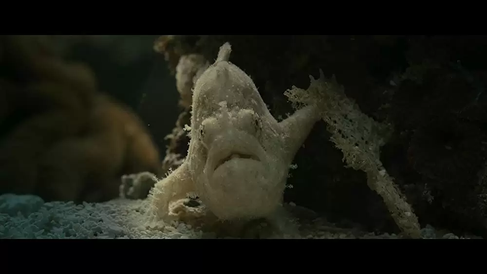 オーシャンズの画像