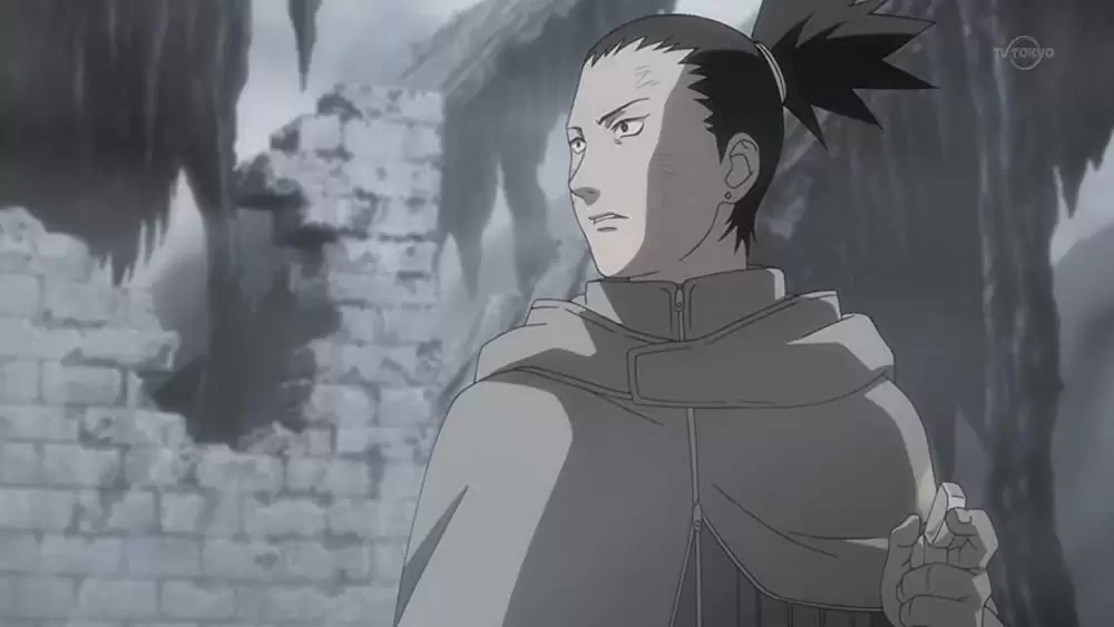 劇場版 NARUTO-ナルト- 疾風伝 火の意志を継ぐ者の画像