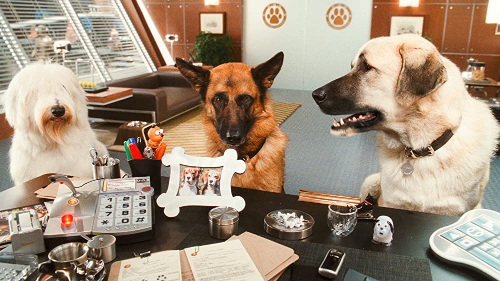 キャッツ&ドッグス 地球最大の肉球大戦争の画像