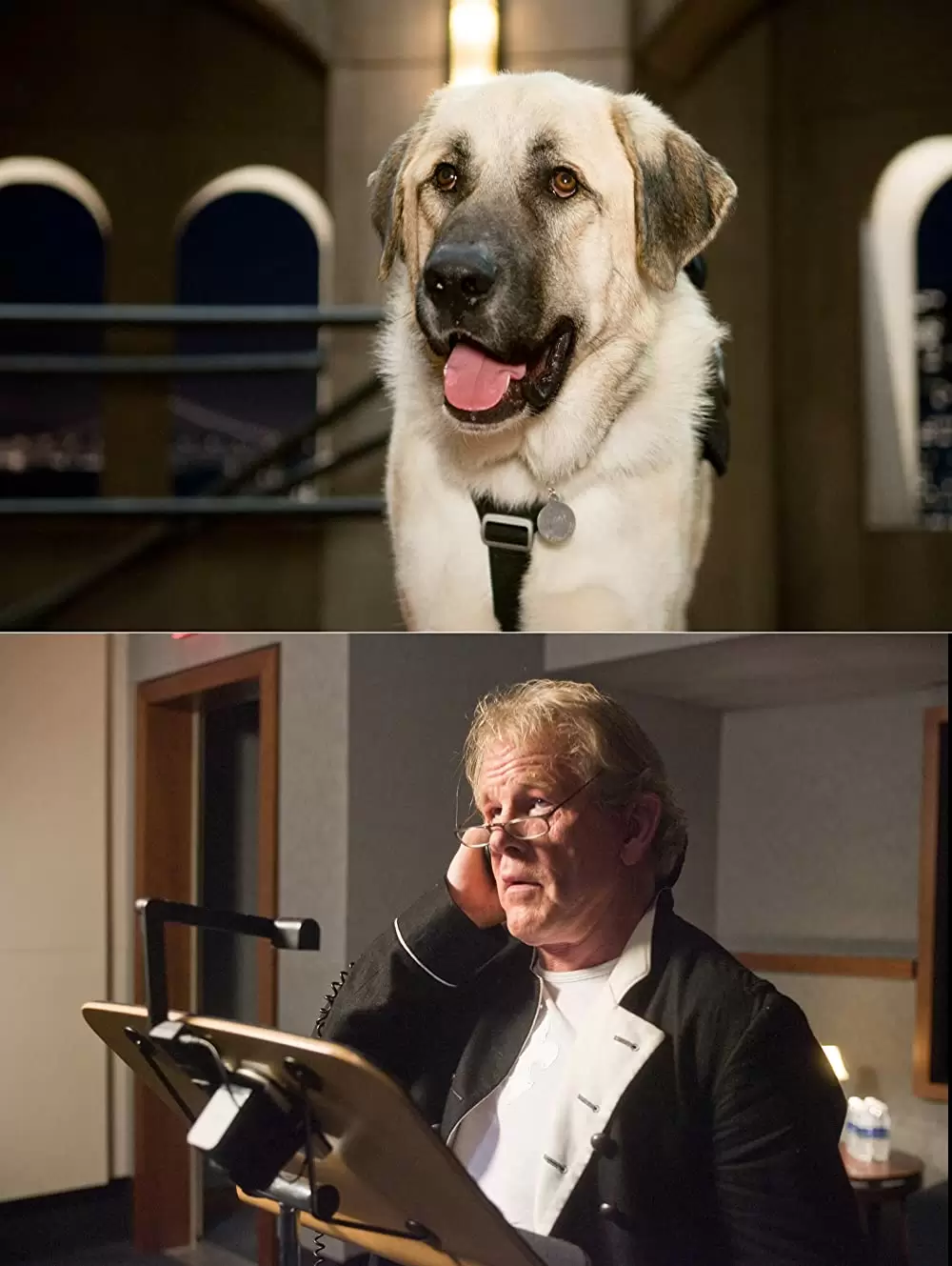 「キャッツ&ドッグス 地球最大の肉球大戦争」ニック・ノルティの画像