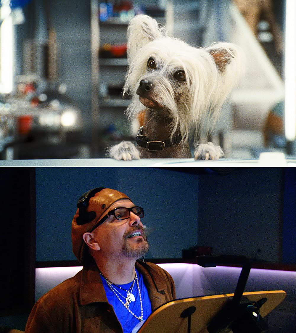 キャッツ&ドッグス 地球最大の肉球大戦争の画像