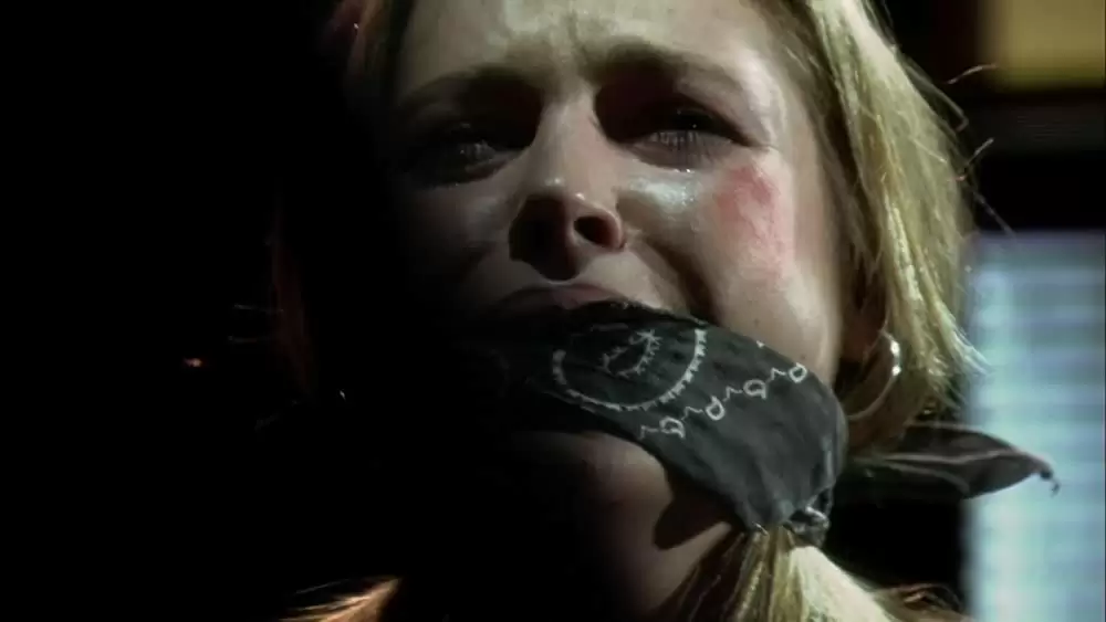 「モーテル2」アグネス・ブルックナーの画像