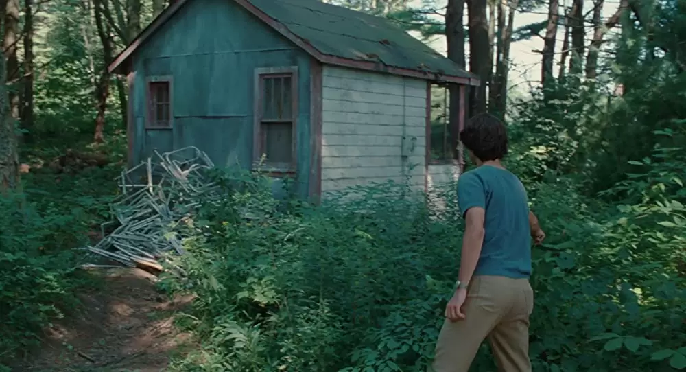 ウッドストックがやってくる！の画像