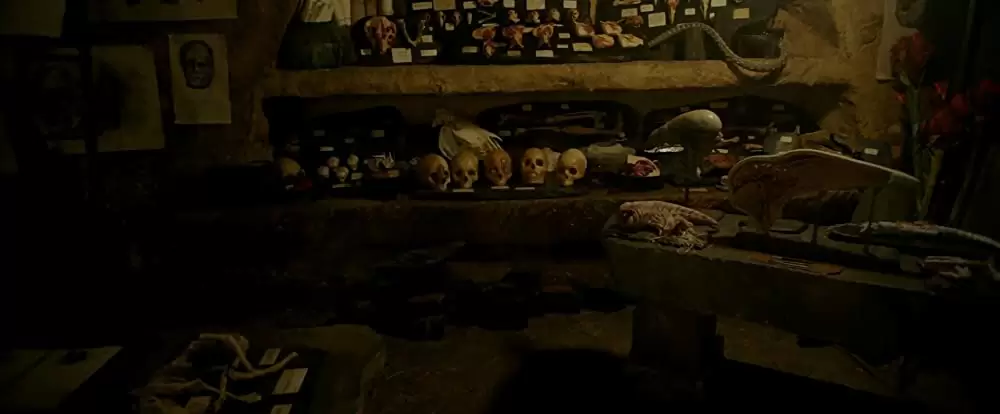 エイリアン：コヴェナントの画像