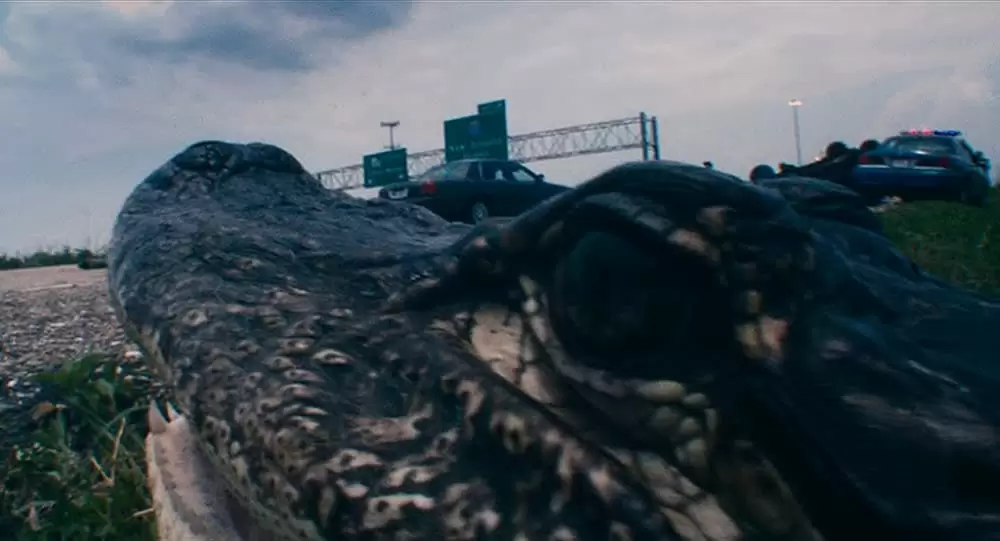 バッド・ルーテナントの画像