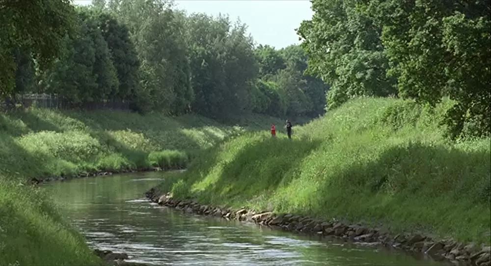 エリックを探しての画像