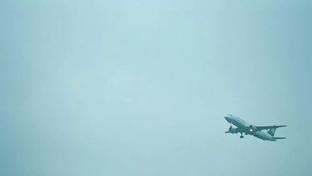 「ソウル・キッチン」の画像
