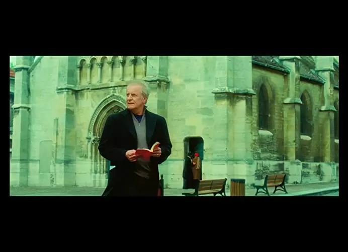 風にそよぐ草の画像