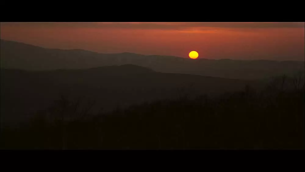 幸福の黄色いハンカチの画像